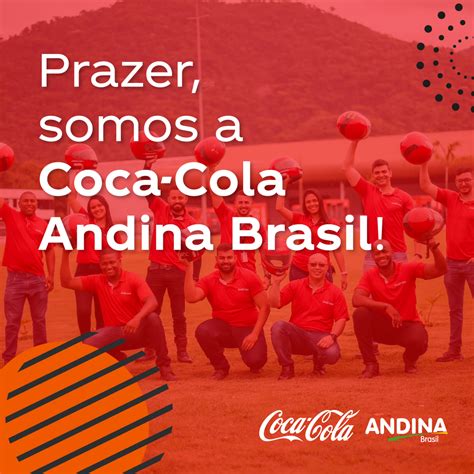 cadastro coca cola andina.